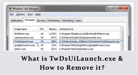 what is twdsuilaunch.exe|TwDsUiLaunch.exe Windows process